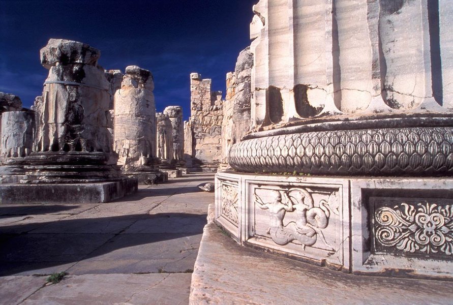 Priene, Miletus, Didyma Day Tour - Tour