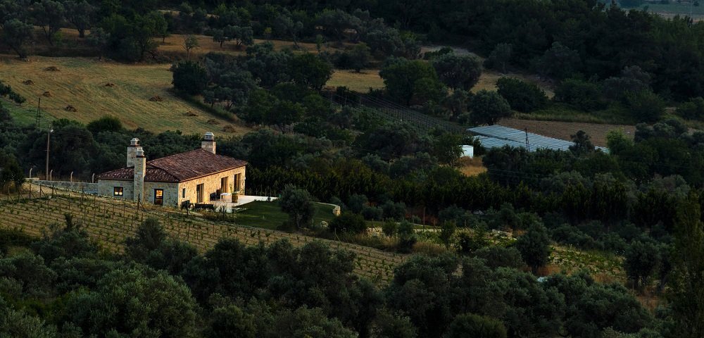Urla Wineries Day Tour - Tour